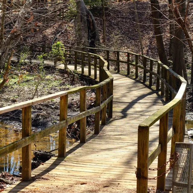 Wooden boardwalk through the woods
